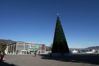 На Центральной площади Геленджика 20 декабря состоится торжественное открытие главной городской елки